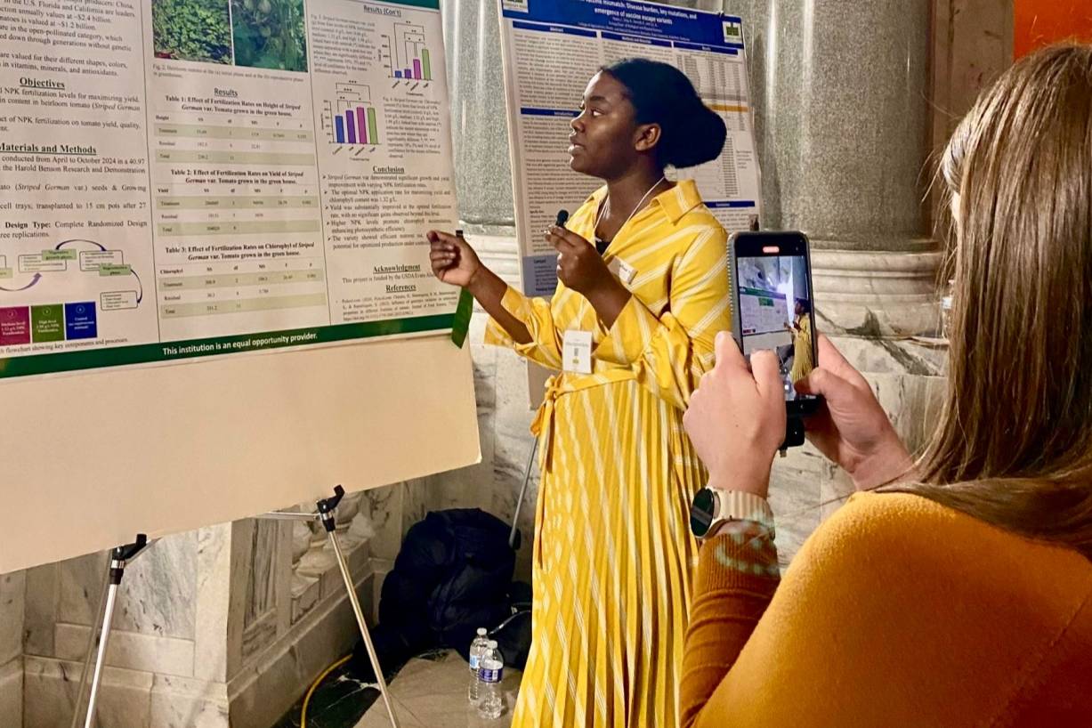 Posters at the Capital - March '25: