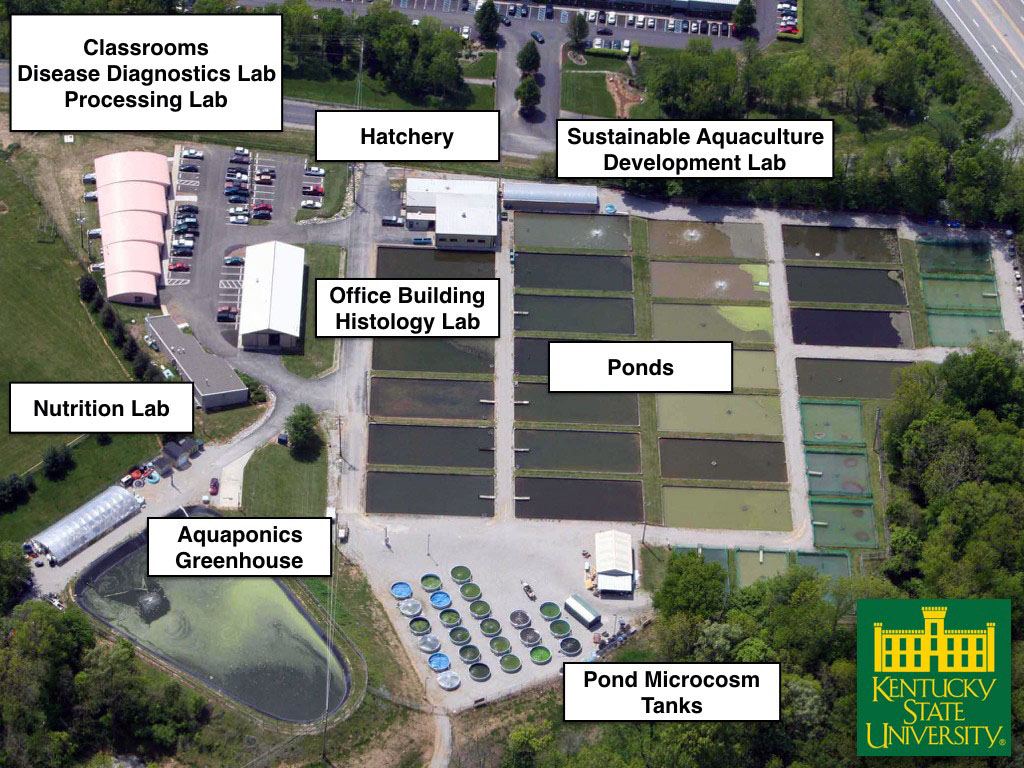 ARC Aerial ARC Aerial