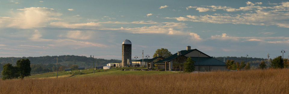 Picture of the farm