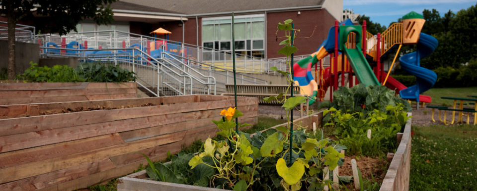 Rosenwald Center for 4-H Youth Development