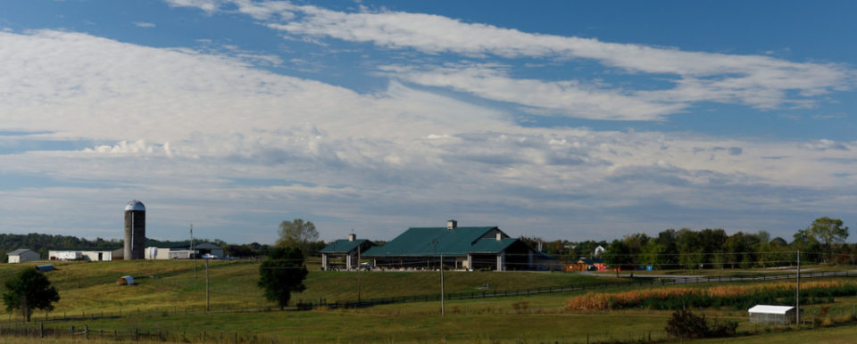 FRANKFORT, Ky., -- Kentucky State University Benson Farm , Wednesday, Sept. 25, 2019 at the Harold R. Benson Research and Demonstration Farm in FRANKFORT.