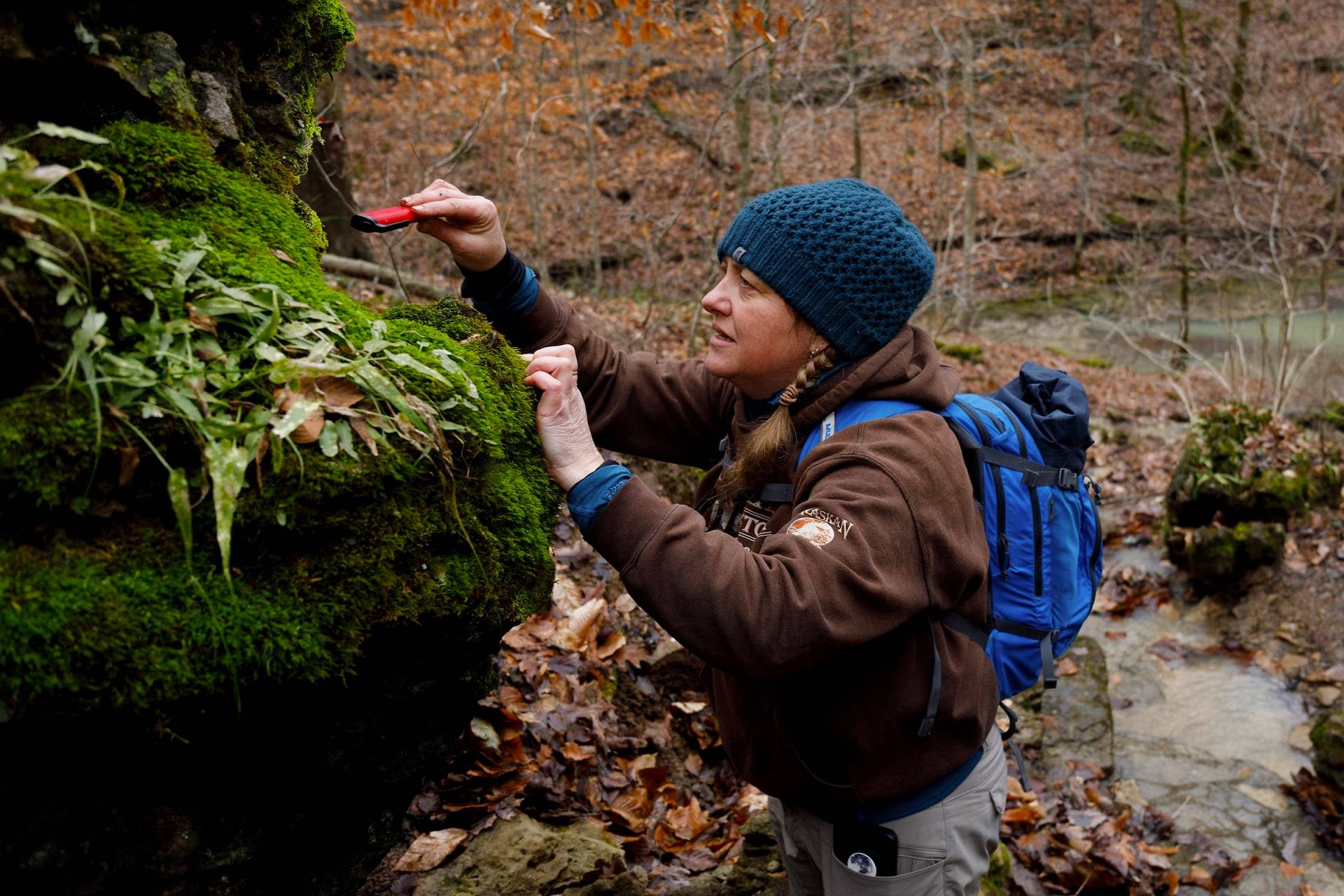 Cox's Creek, Ky., -- Kentucky State University researcher Jill Fisk continued her Salamander research at her control location and Rock Run testing water samples and collecting salamanders from the leaf litter and along drainages of Long Lick Creek, Saturday, Jan. 25, 2020 at the Bernheim Forest in Cox's Creek.