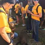 Children watching a goat eat