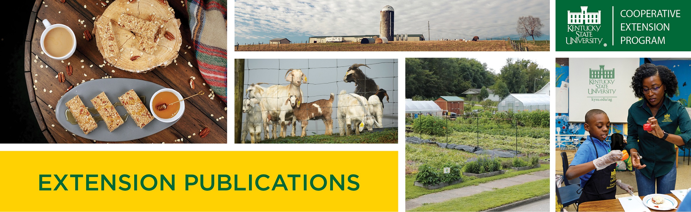 Extension Publication collage that shows a variety of topics covered in fact sheets