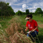 Agricultural Systems lady in field