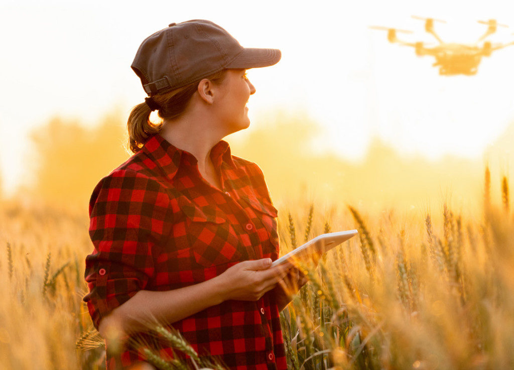 Agriculture-Communications - Women flying a drone in a wheat field