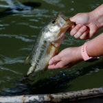 Aquaculture Systems-hands holding a fish by it's mouth