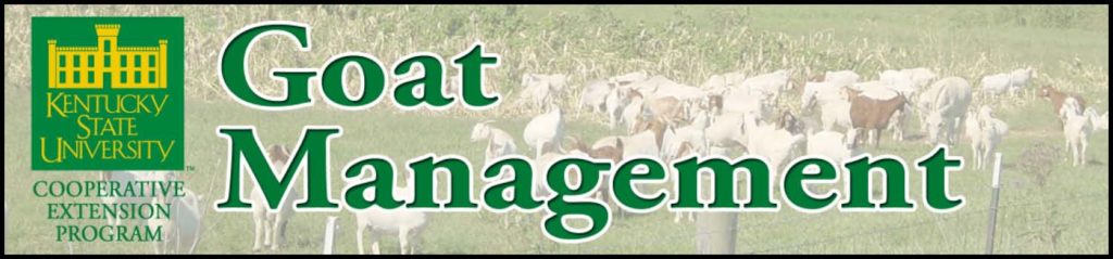Goat Management heading picture with goats in the background