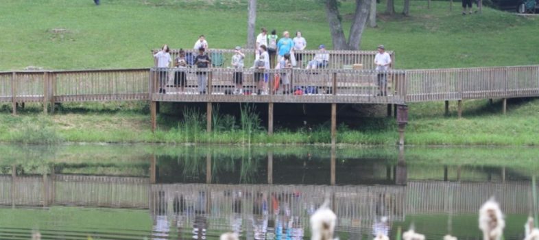 Picture of children on a bridge with water and flowers