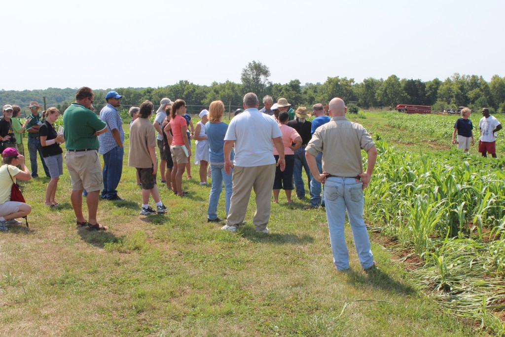 Pictured of a group of people in a field