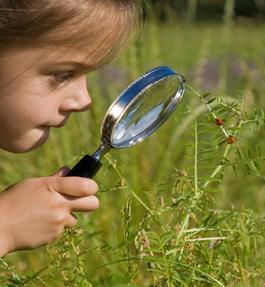 Child looking through a microscope at grass - Environmental Education