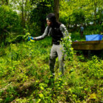 Environmental Systems - Women if field near dock