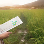 Person holding tablet in field
