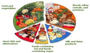 Picture of Food Chart for Food Safety and Human Health