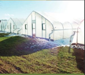  Picture of Greenhouses