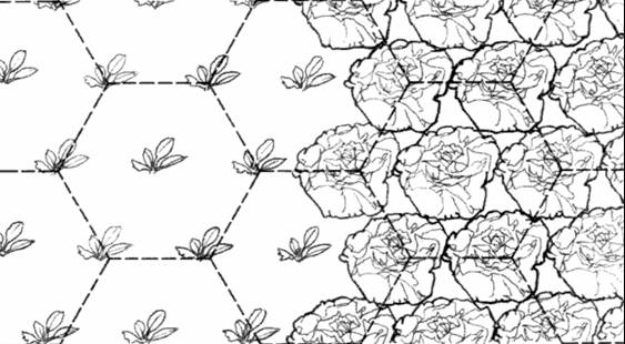 Hexagonal spacing diagram from How to Grow More Vegetables... (Jeavons 2006)