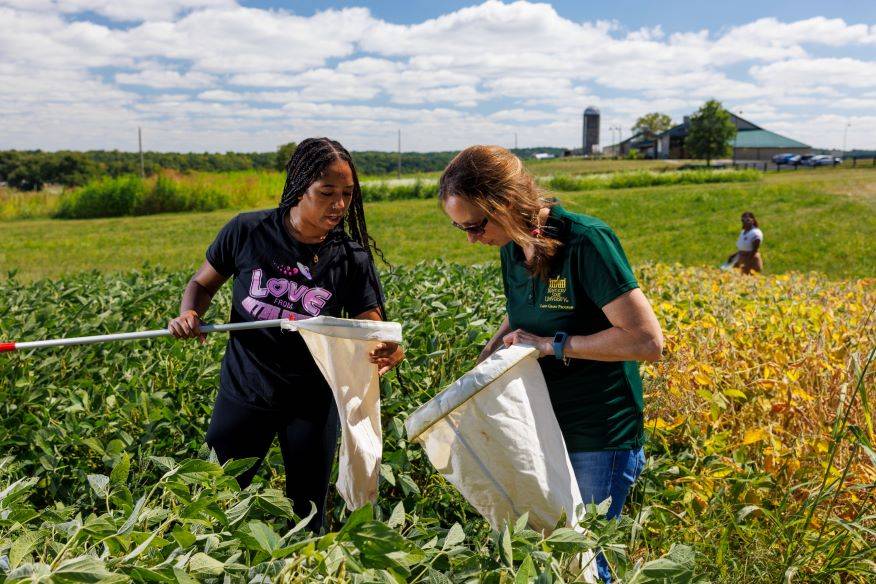 Three KSU Students in a field