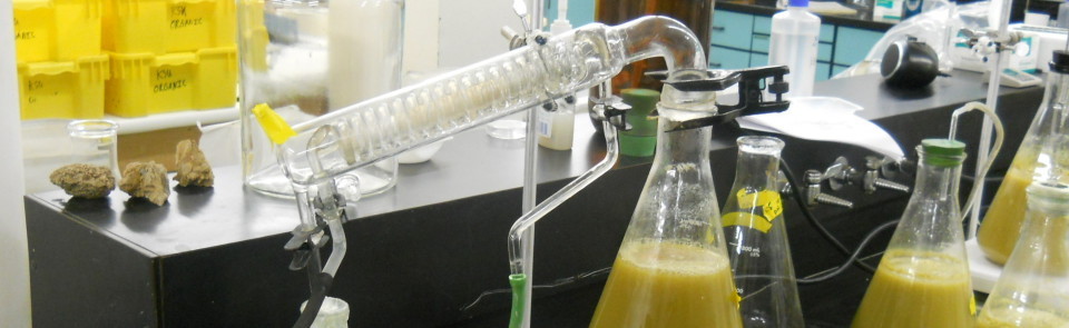 Lab still