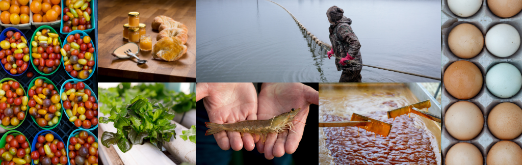 Collage photo with fresh fruit, eggs, fishing, etc.