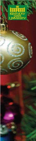 Stretching your holiday dollar side graphic