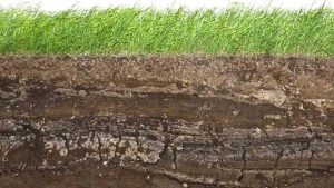 Water and Soil Science picture