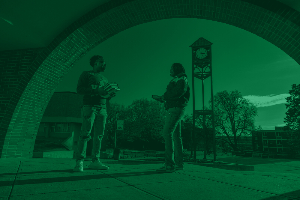Master of Business Administration Online