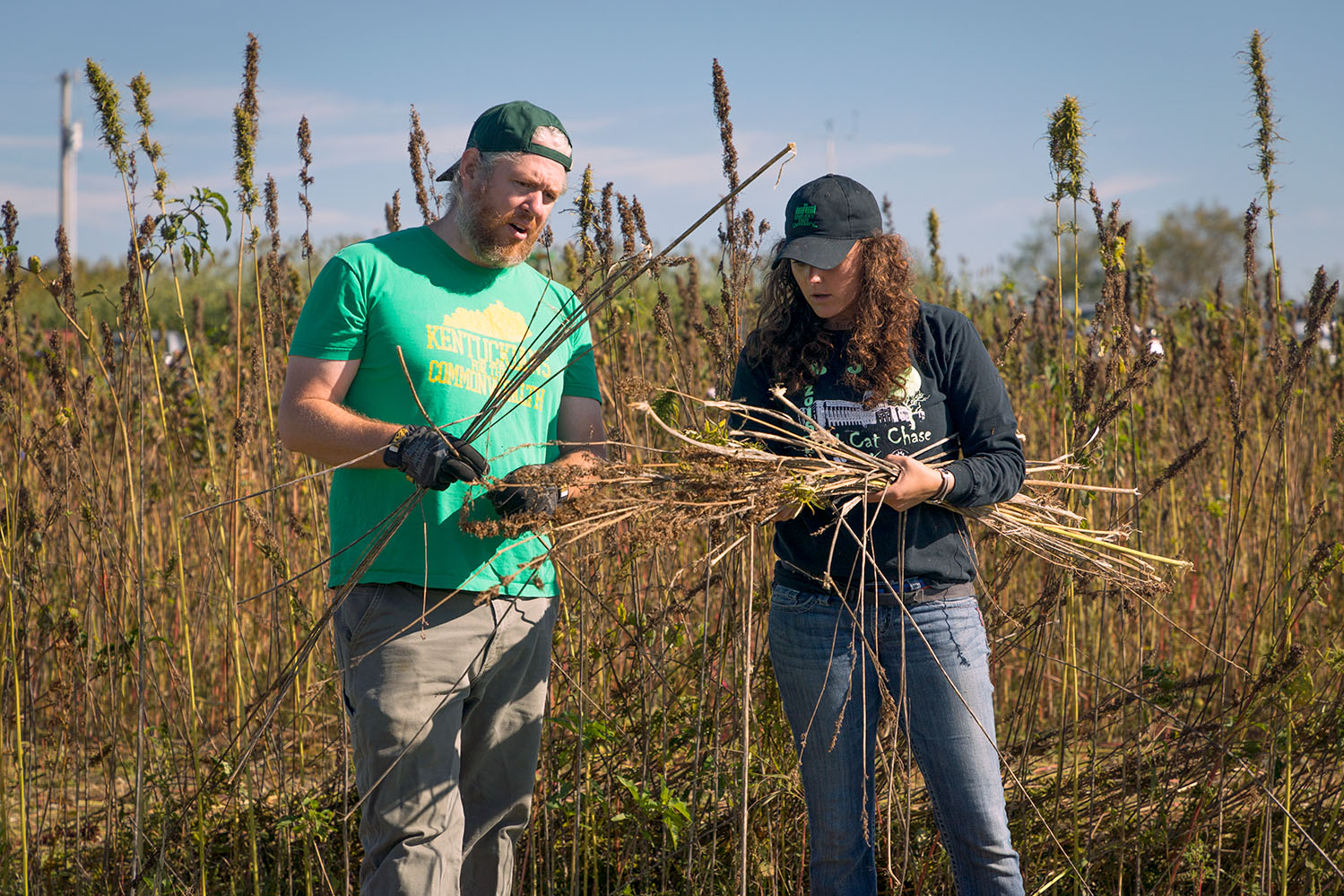 KSU Agriculture Students collecting plants in field