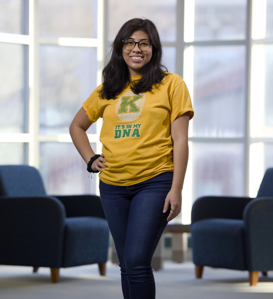 KSU student computer