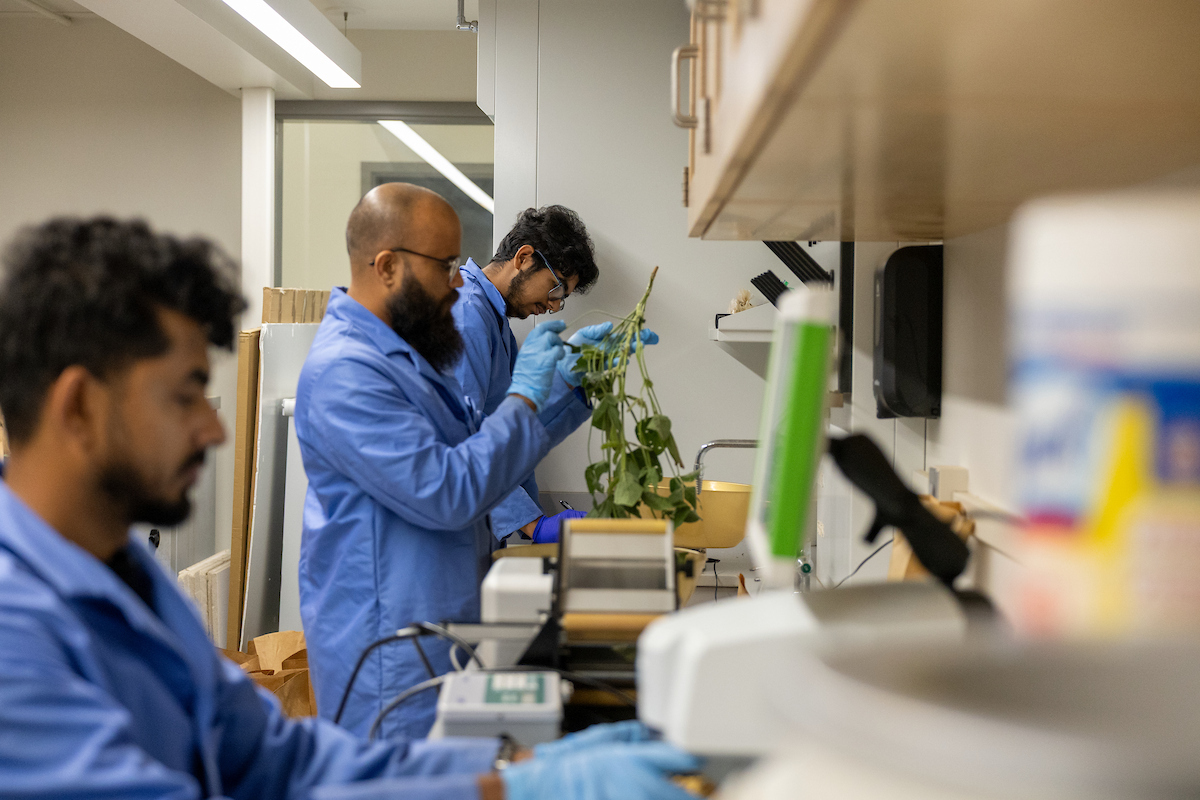 Agronomy Lab
