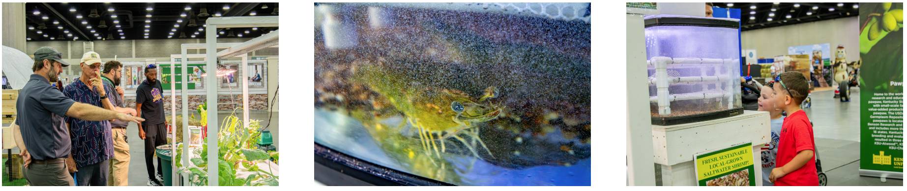 State Fair Collage 4