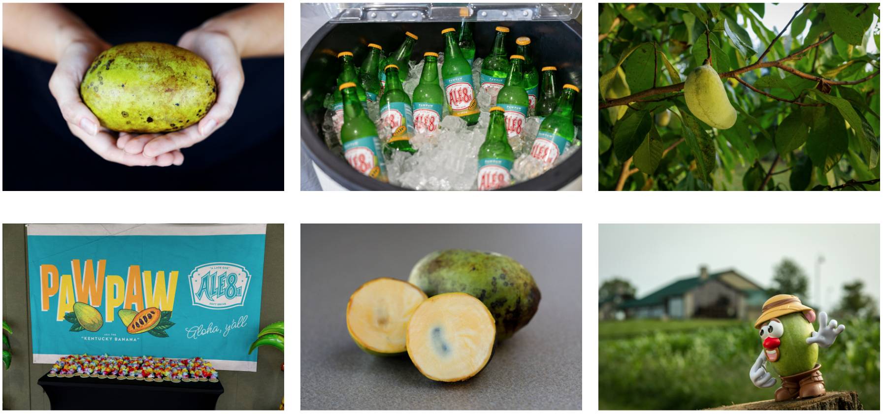 Paw Paw Collage