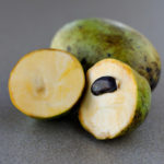 FRANKFORT, Ky., -- Kentucky State University's third pawpaw cultivar the KSU Chappell a creamy version of the US native fruit, Thursday, Sept. 13, 2018 at the Harold R. Benson Research and Demonstration Farm in FRANKFORT.