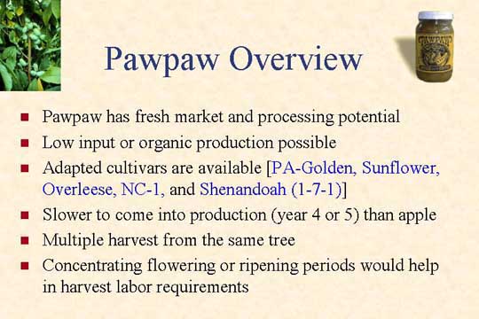 Pawpaw overview slide