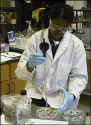 Photos of Lab Work
