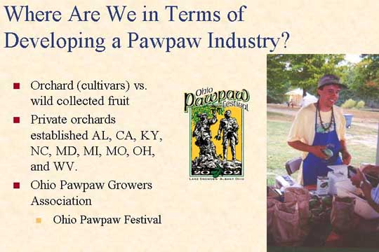 Where are we in terms of developing a pawpaw industry slide