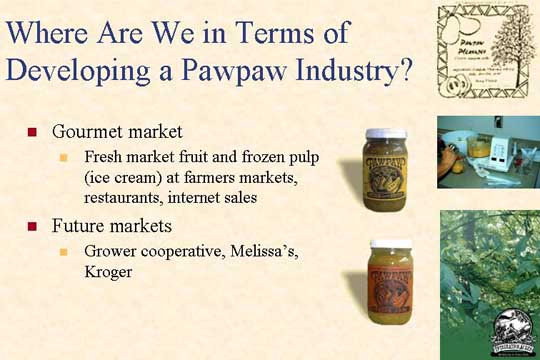 Where are we in terms of developing a pawpaw industry?