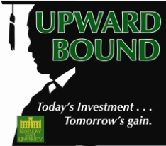 ub logo