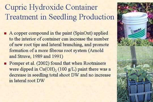 Cupric Hydroxide Container Treatment in Seedling Production slide