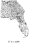 Picture of A. x nashii
